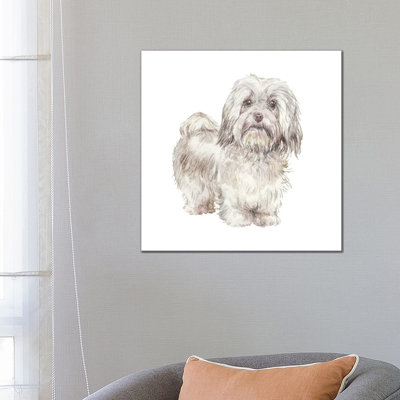 Havanese Cuban Bichon 1 Piece Wrapped Canvas Painting