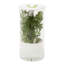 Glass Jar