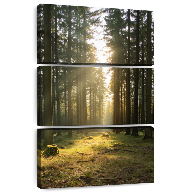 Kerrick German Forest In Spring, 45" H x 28" W