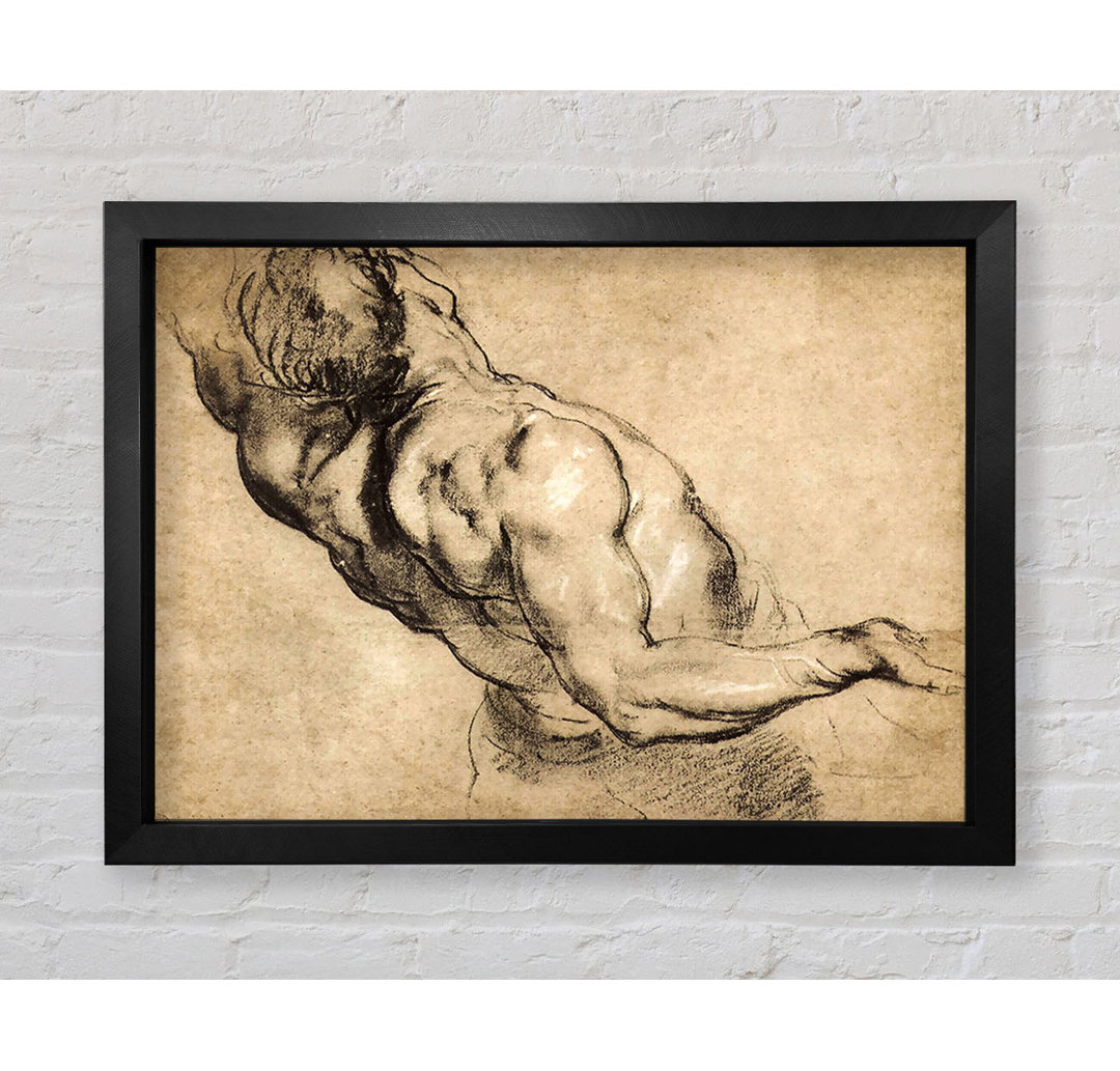 Rubens Study Of Mans Torso von Peter Paul Rubens - Einzelne Bilderrahmen Kunstdrucke