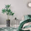 66 plantes-97701520