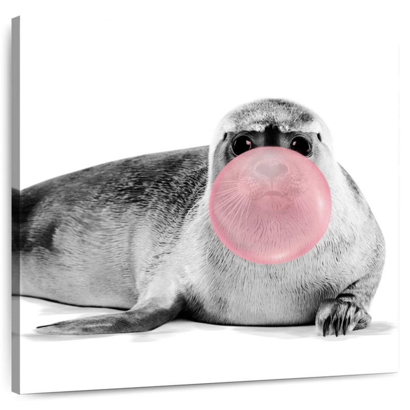 Bébé phoque à bulles, H 30 po x l 30 po