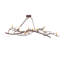 57" Long Winter Solstice 8 Light Oblong Chandelier