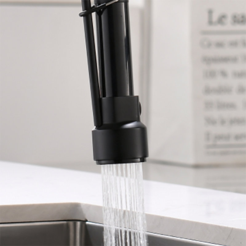 Robinet de cuisine commerciale avec douchette rétractable et robinets d'évier de cuisine monocorps en laiton massif, Noir