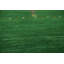 Tapis oriental vert fait à la main Gabbeh