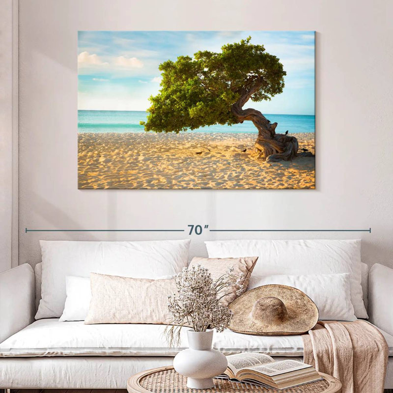Arbre Gillard Divi-Divi à Aruba, H 32 po x l 48 po