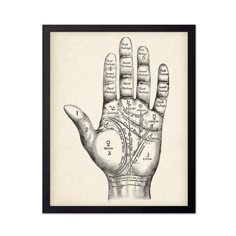 Chiromancie, Sans cadre, Affiche, 08"H x 10"W