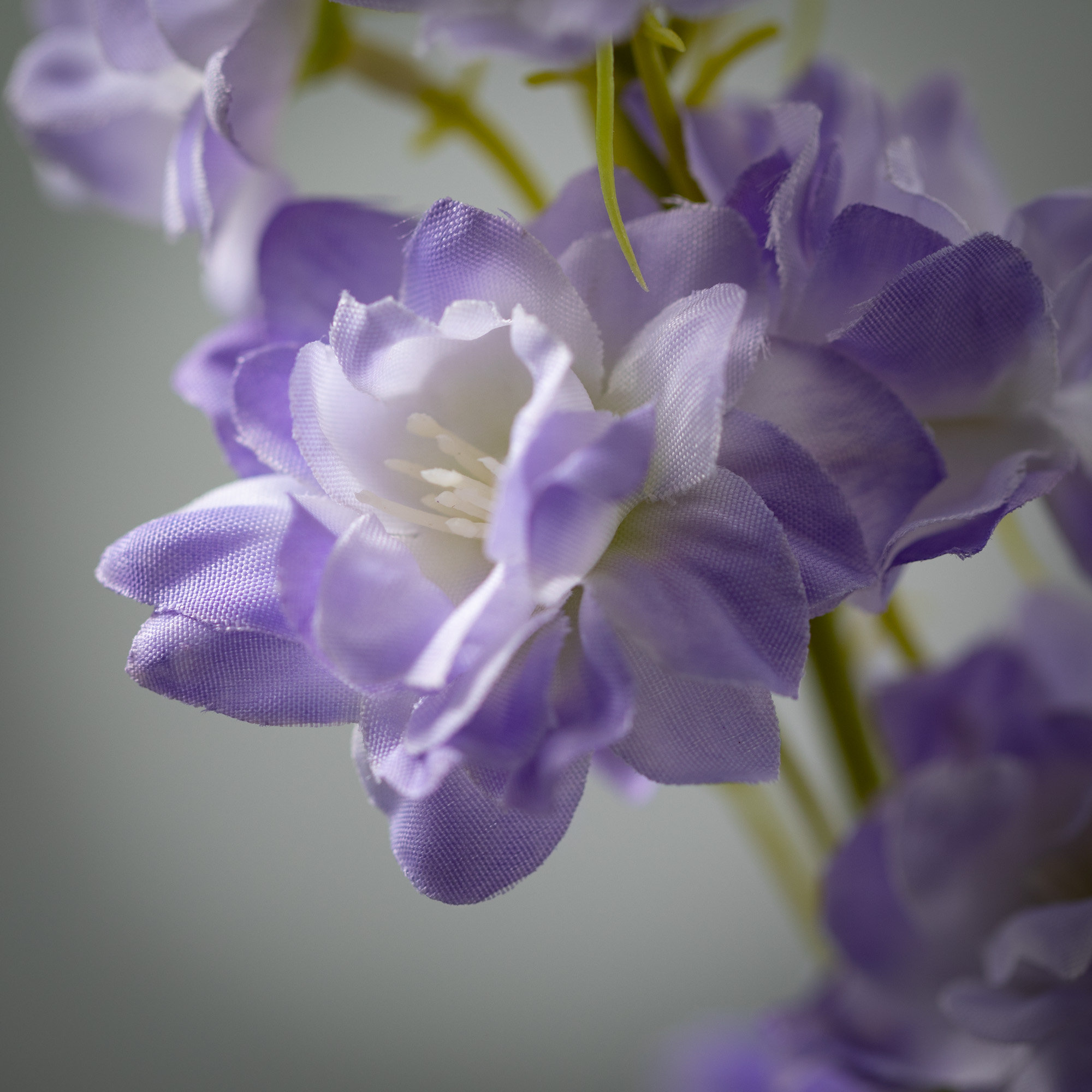 Larkspur Sprays, Purple