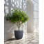 Plant Pot 42 x 39 cm Grey FRAXINUS