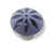 Frosted Plum