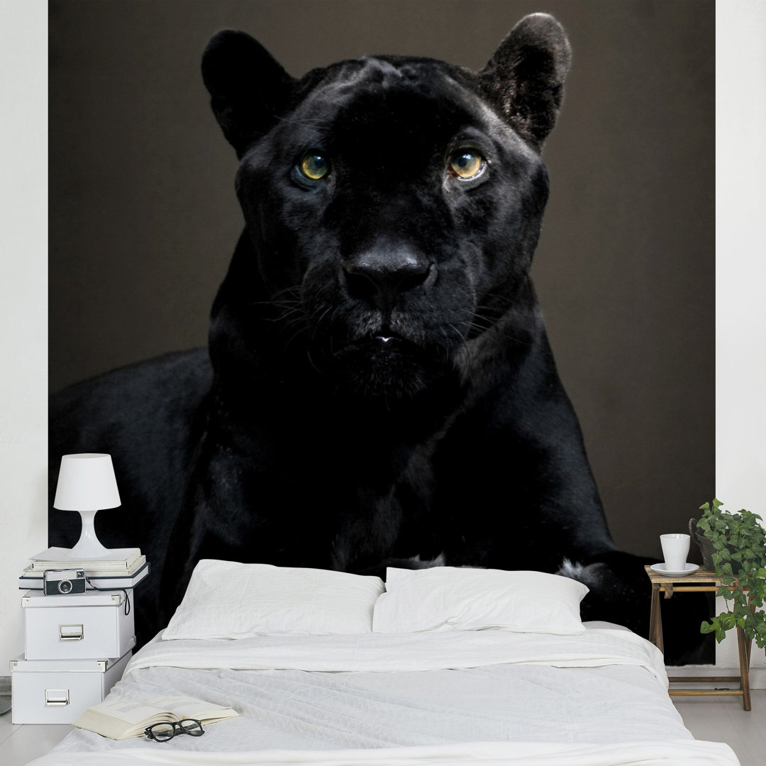 Black Puma 1.92m x 192cm Wallpaper