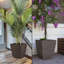 Ensemble de boîtes à fleurs 2 pièces-2137688231