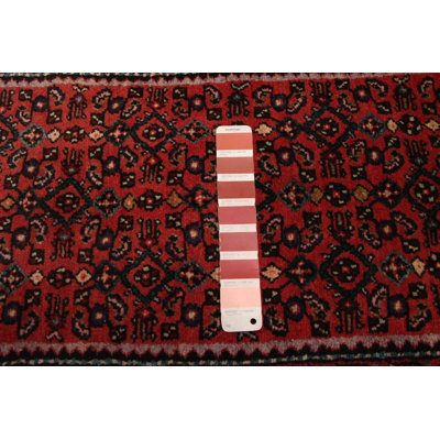 Tapis rouge Andelz 2 pi 4 po x 9 pi 10 po