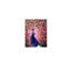 No Frame Print on Canvas