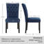 Amdan Tufted Velvet Modern Dining Chair-13087279