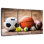 Sireci Sports Balls