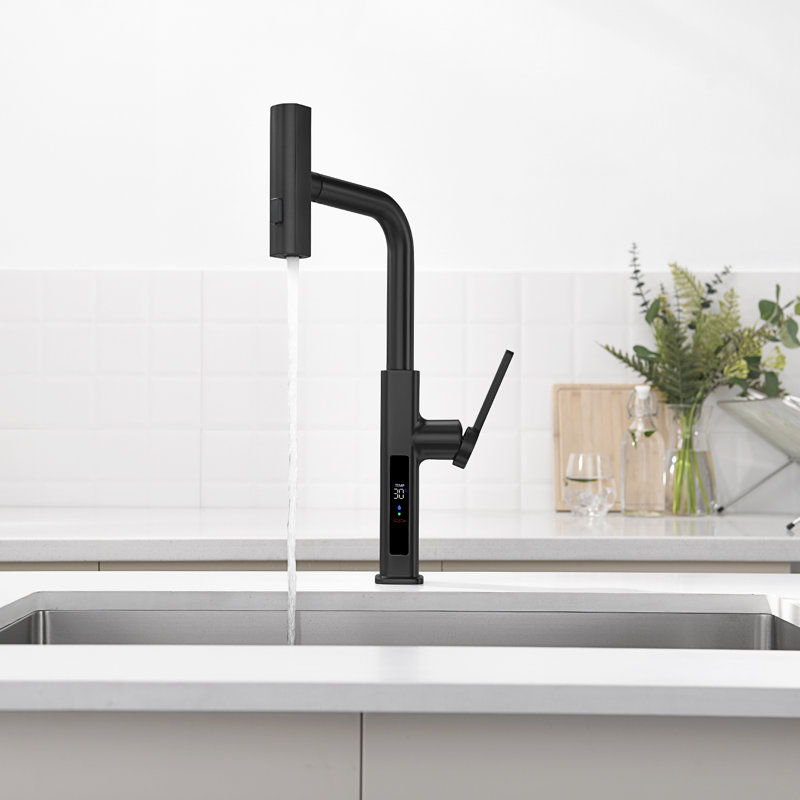 Single Handle Kitchen Faucet with Accessories, Black