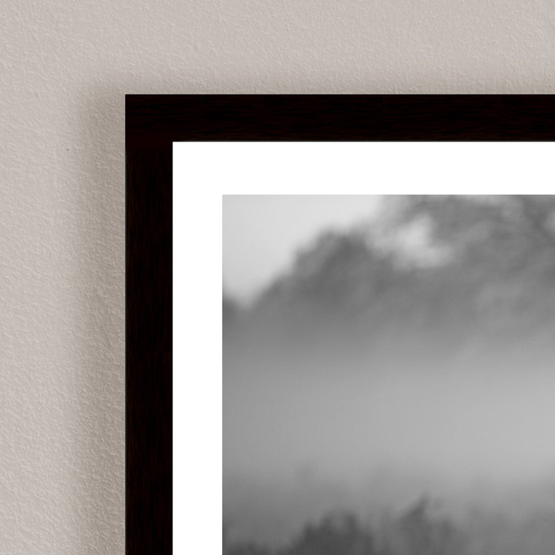 Nature Inspired Sunny Morning by  - Picture Frame Photograph on Paper, 24" H x 36" W x 1.125" D, Framed Matted Print, Black