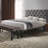 Jaelyn Upholstered Platform Bed-31040958