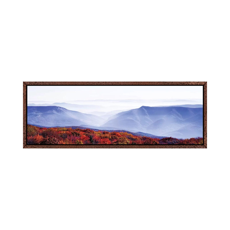 Dolly Sods Wilderness Area, Monongahela National Forest, West Virginia, USA - Panoramic Print on Canvas