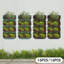 Ensemble de 16 pots de fleurs muraux-531840833
