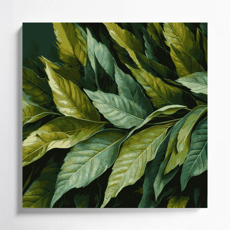 «Botanical Bay Leaves», art mural sur toile verte