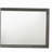 Nema Grey Facemask