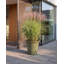 OLIVA Pot Planter