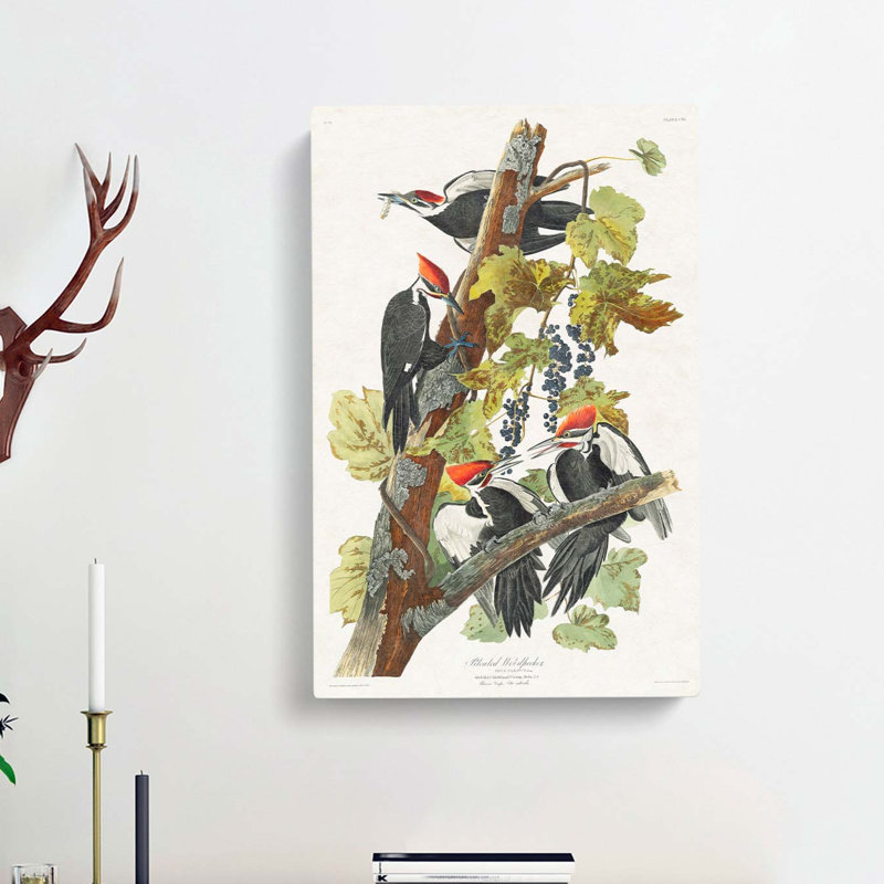 Pileated Woodpeckers by John Audubon - Wrapped Canvas, 60cm H x 40cm W x 3cm D