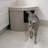Taupe corner litter box in an enclosed design with a cat walking away.