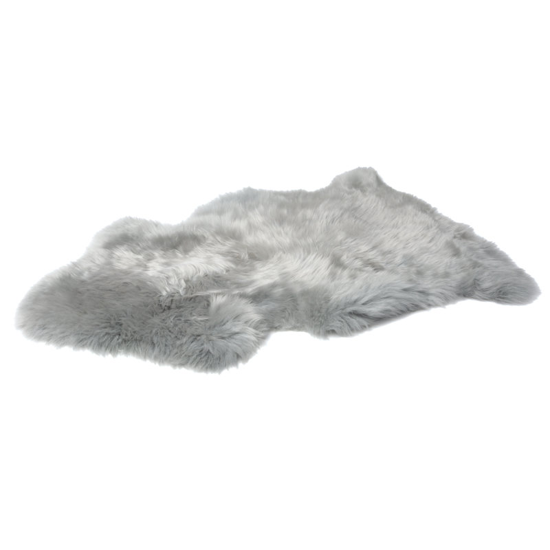 Tapis intérieur / extérieur Novelty Wynetta, Nouveauté 2 pi x 3 pi