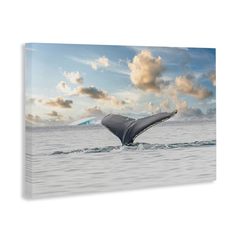 Toile antarctique avec queue de baleine, conception de Richard Silver, H 16 po x l 24 po