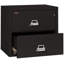 Fireproof 2 - Drawer File Cabinet-217199-331546