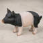 Statue de jardin en forme de cochon tacheté