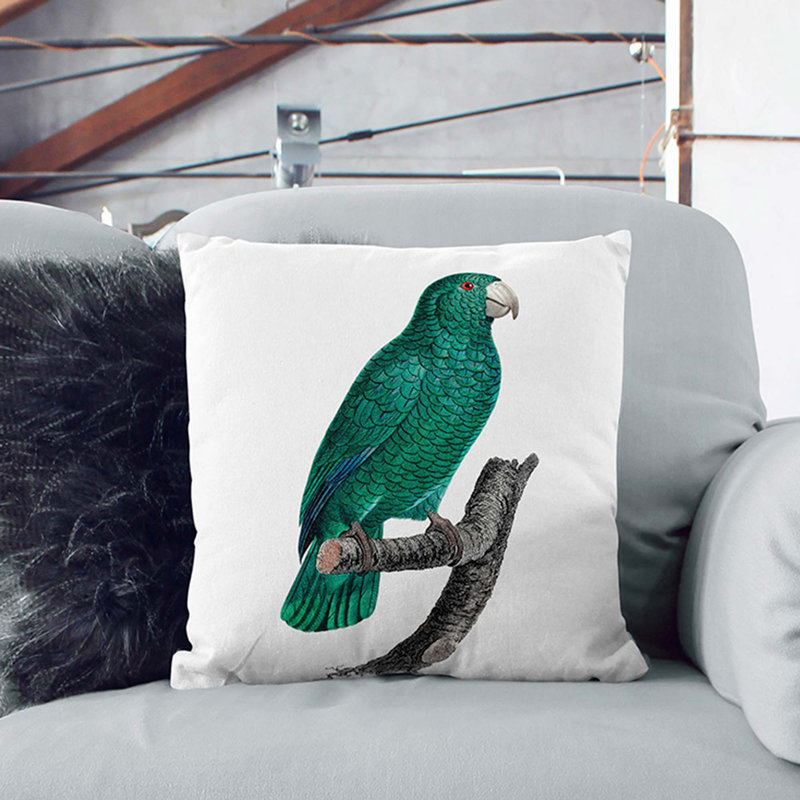 Emerald Cuban Amazon Parrot by F. Levaillant Cushion with Filling, Black, 55cm H x 55cm W x 20cm D