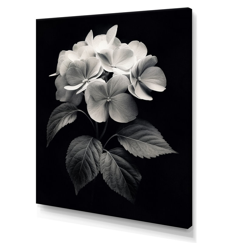Hortensia noir et blanc III - impression, Toile tendue, H 32 po x l 16 po x P 1 po