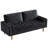 Delicat 58.46'' Velvet Loveseat-1469907761