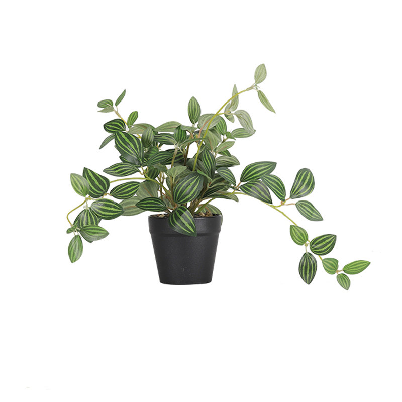 Plante artificielle rayée vert foncé,  Vert foncé