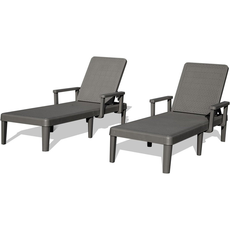 Pool Lounge Chairs Set Of 2, Gray