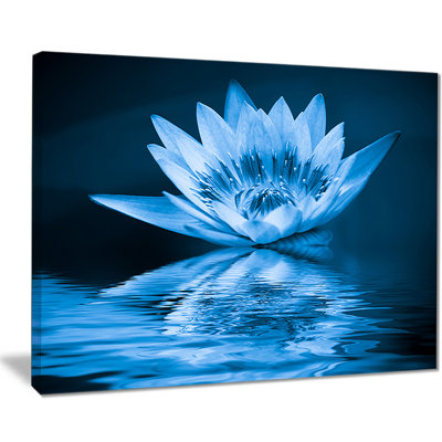 " Blue Water Lily "