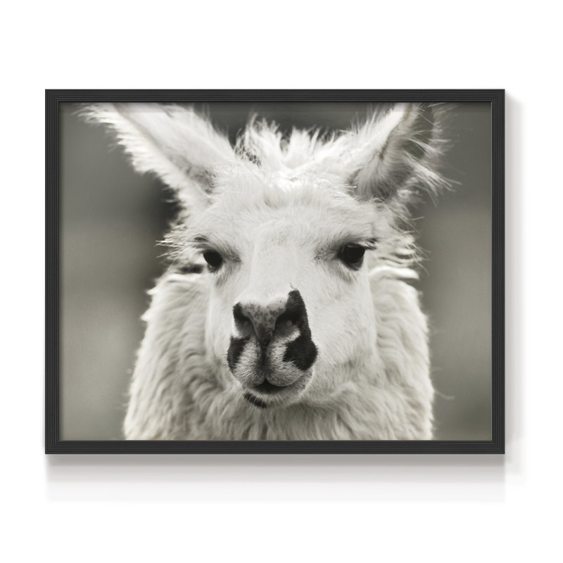Let's Chat -Framed Print - Restickable, Black, 16" H x 20" W