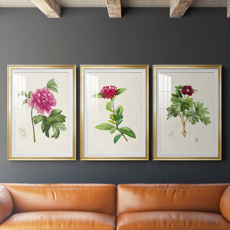 «Pretty Pink Botanicals I», reproduction encadrée de qualité supérieure - prête à être accrochée, Cadre doré