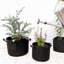 Aaren Pot Planter-1937205769