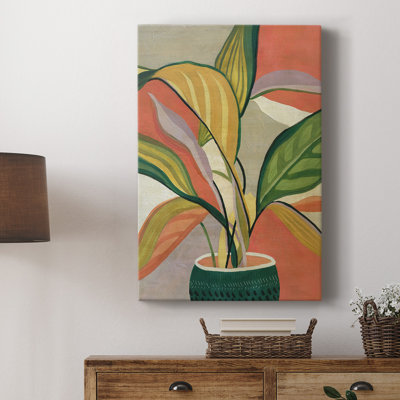 " Potted Bird Of Paradise "