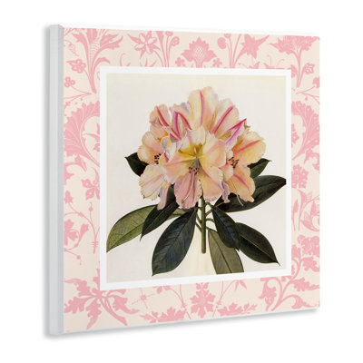 Pink Vintage Pattern Botanical Wall Plaque, design by Livi Finn