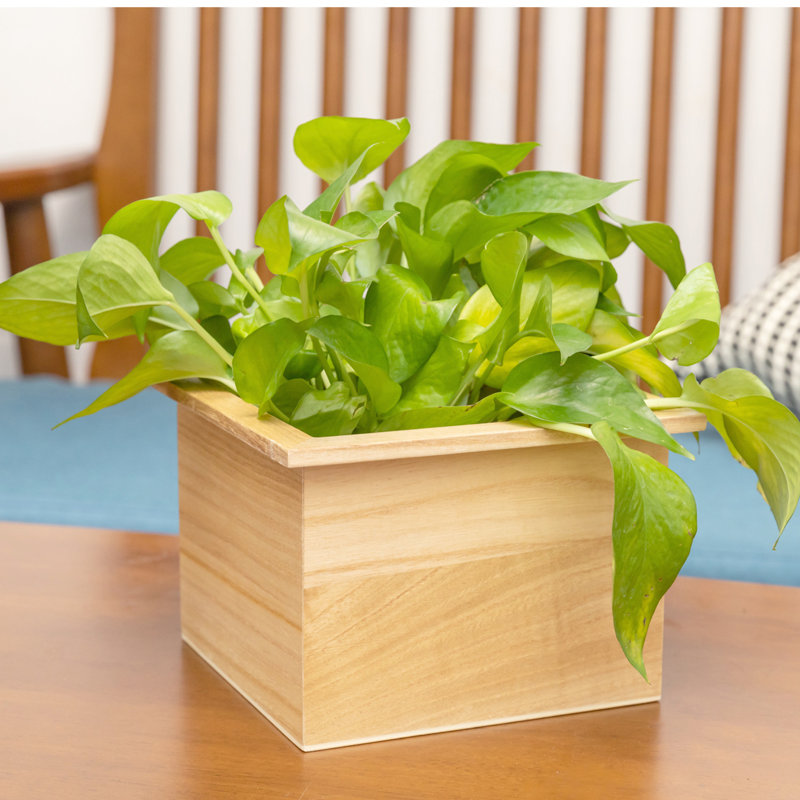 Ensemble de 3 paniers de rangement en bois massif