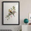 Spring Spring Pine Grosbeak - peinture encadrée-123802680-123802684