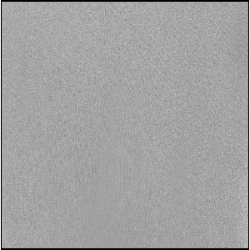 Ensemble de 2 chaises d'appoint rembourrées en velours , Gris