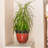 Weather Resistant Saucer Plant Stand