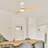 42" 3 - Blade Small Room Ceiling Fan with LED Light and Remote-1986068629